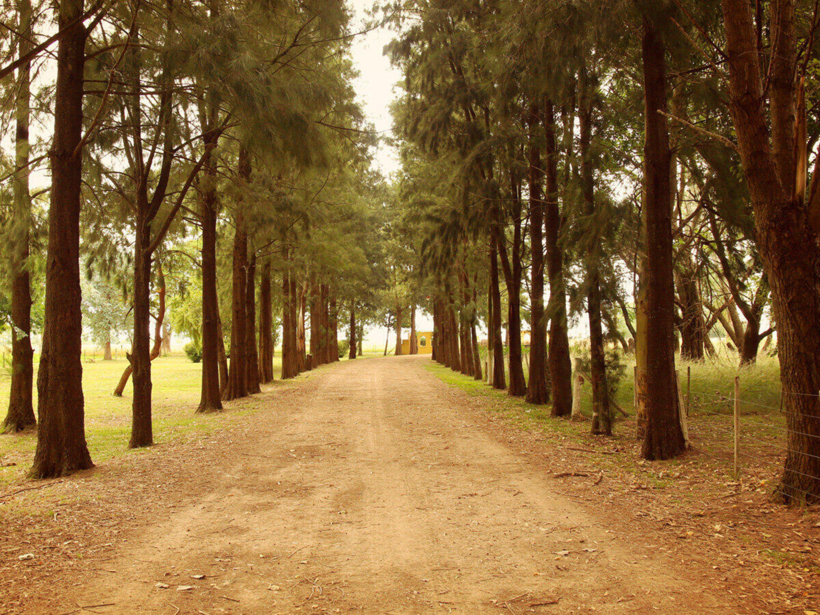 Campo De Brandsen Full Day